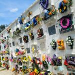 63ee90b8 5b9e 4b94 9481 e1107a7c7205