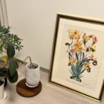 ダリ　ナルキッソス